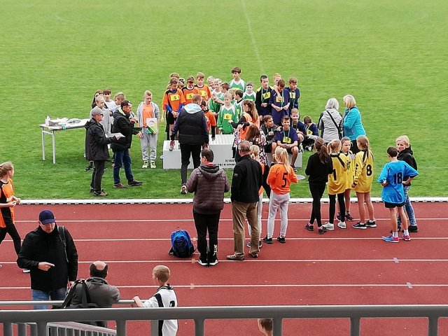 staf 1